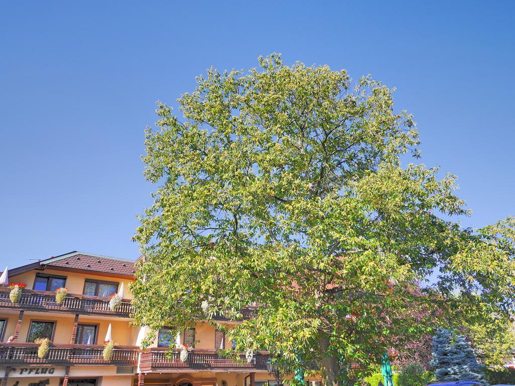 אוברקירש Ringhotel Garni Pflug מראה חיצוני תמונה